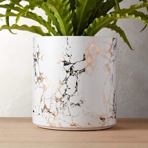 CB2 Medium White Planter with Gold Accents